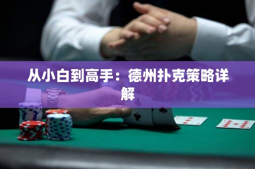 从小白到高手：德州扑克策略详解