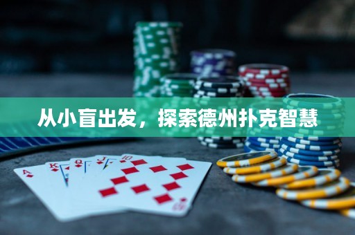 从小盲出发，探索德州扑克智慧