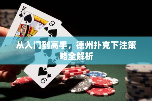 从入门到高手，德州扑克下注策略全解析