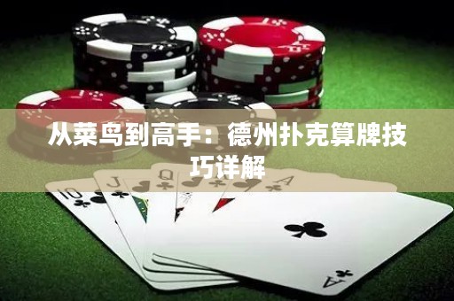 从菜鸟到高手：德州扑克算牌技巧详解