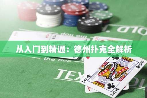 从入门到精通：德州扑克全解析