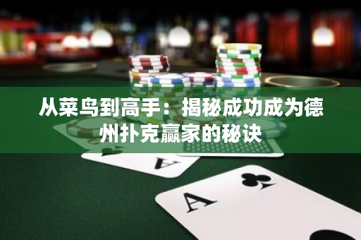 从菜鸟到高手：揭秘成功成为德州扑克赢家的秘诀