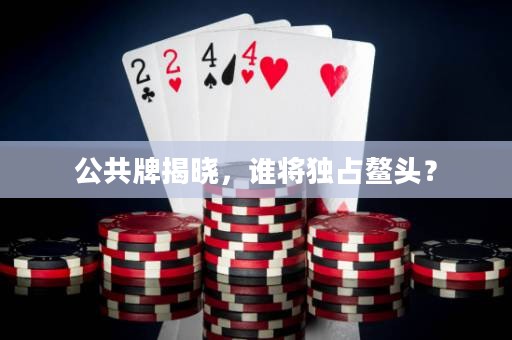 公共牌揭晓，谁将独占鳌头？