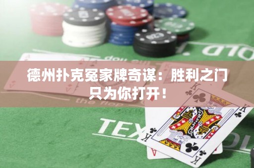 德州扑克冤家牌奇谋：胜利之门只为你打开！