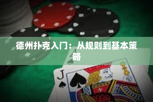 德州扑克入门：从规则到基本策略