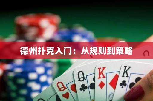 德州扑克入门：从规则到策略