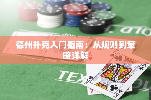 德州扑克入门指南：从规则到策略详解