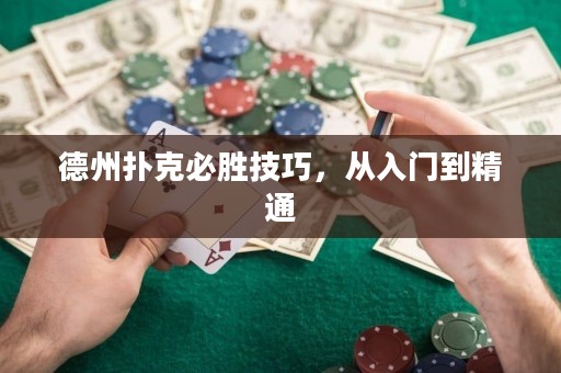 德州扑克必胜技巧，从入门到精通