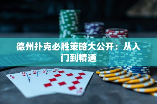 德州扑克必胜策略大公开：从入门到精通