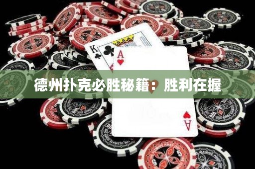 德州扑克必胜秘籍：胜利在握