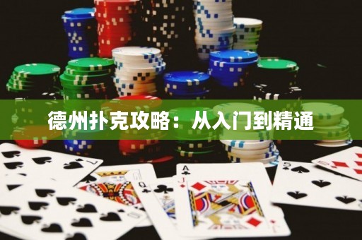 德州扑克攻略：从入门到精通